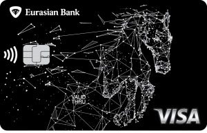 Visa Gold